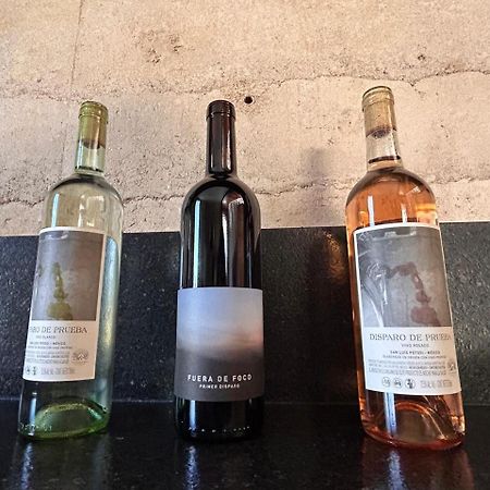 サン・ルイス・ポトシ Choza Vinedo Bodega 1881ゲストハウス エクステリア 写真